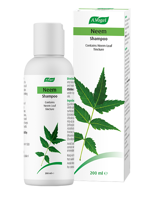 A.Vogel Neemcare Shampoo