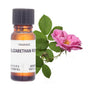 Amphora Aromatics Elizabethan Rose Fragrance 10Ml
