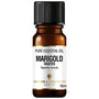 Amphora Aromatics Marigold Tagetes Pure Ess Oil 10Ml