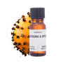 Amphora Aromatics Satsuma And Spice Fragrance 10Ml