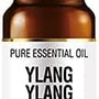 Amphora Aromatics Ylang Ylang Pure Ess Oil 10Ml