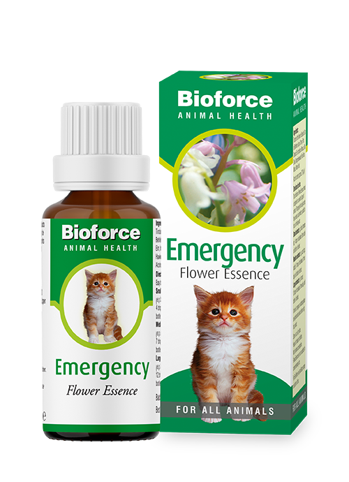 A.Vogel Animal Emergency Essence
