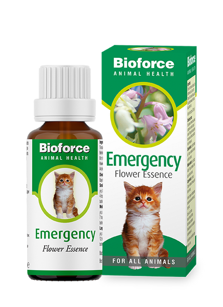 A.Vogel Animal Emergency Essence