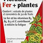 Floradix Liquid Iron Formula 250Ml