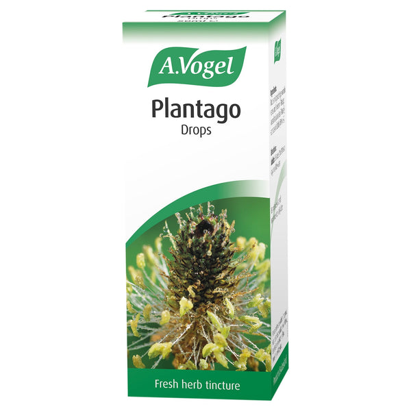 A.Vogel Plantago Lanceolata