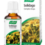A.Vogel Solidago Complex