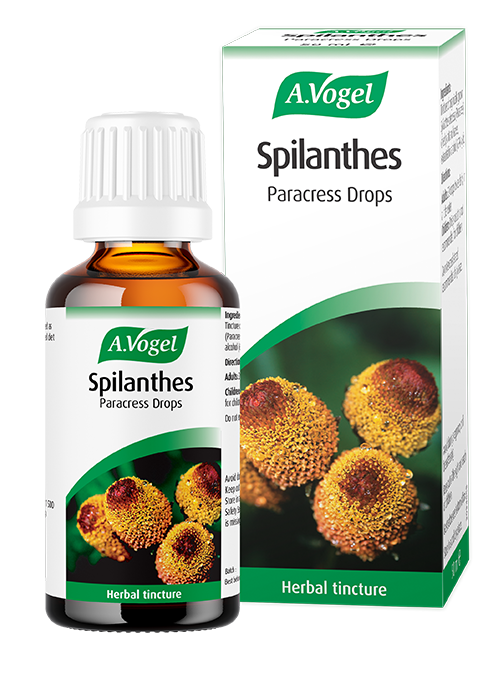 A.Vogel Spilanthes