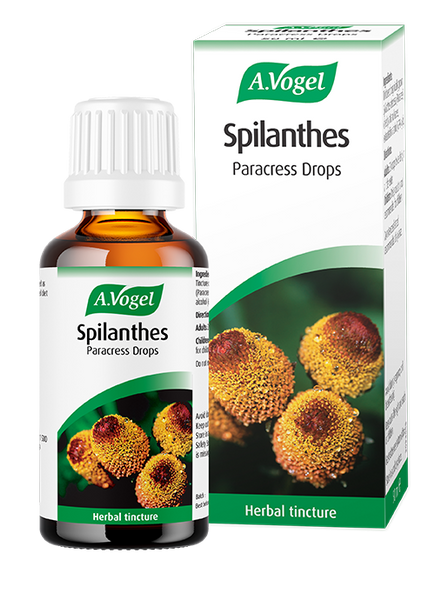 A.Vogel Spilanthes