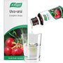 A.Vogel Uva Ursi Complex
