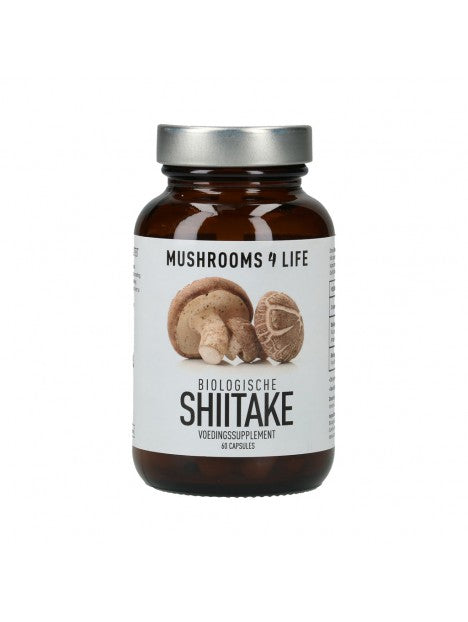 Mushrooms 4 Life Shitake